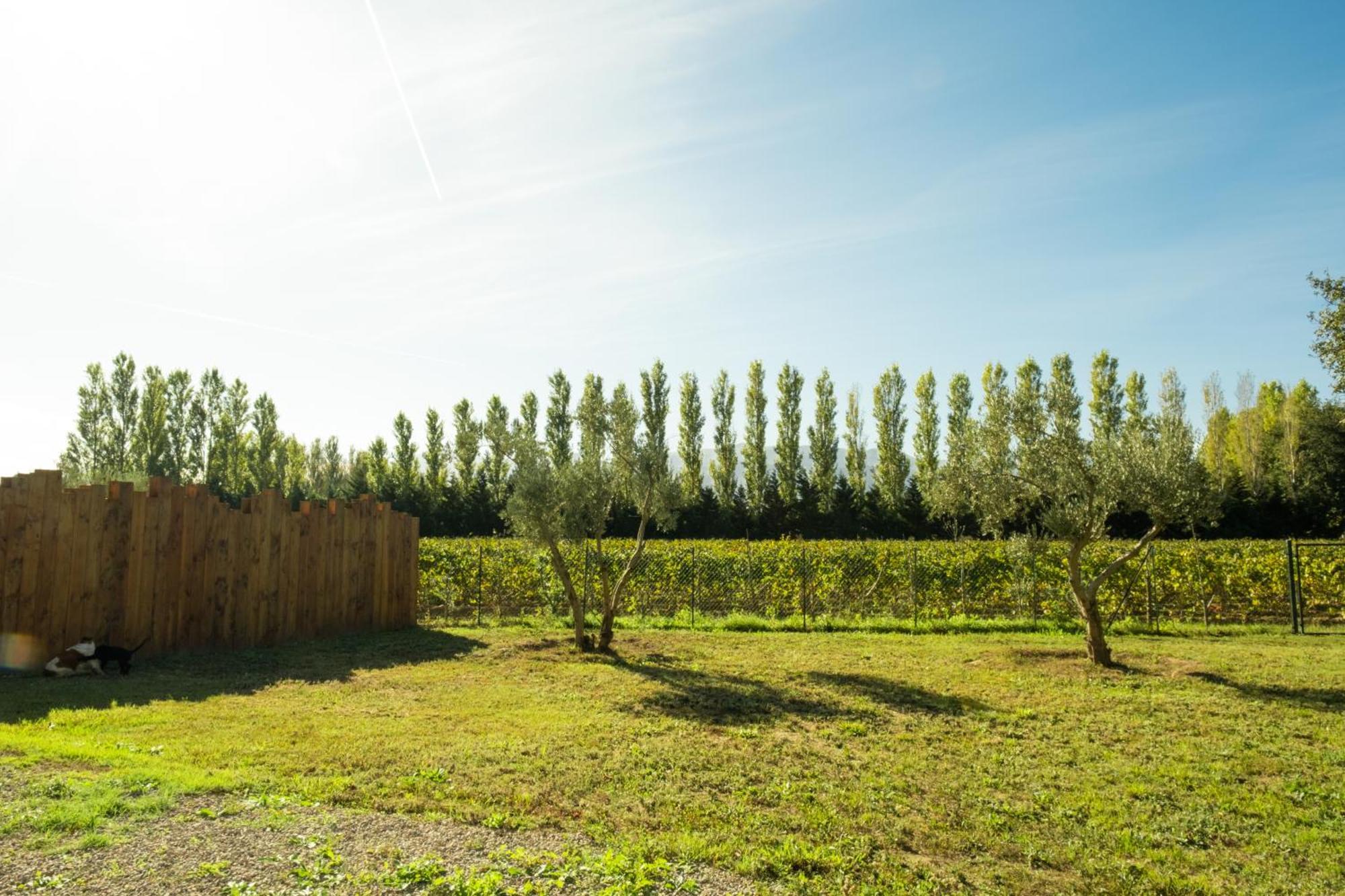 Vila Domaine Saint Thomas Argelès-sur-Mer Exteriér fotografie